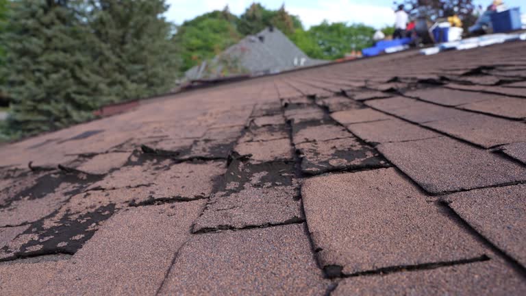 Best Roof Leak Repair  in Prudhoe Bay, AK